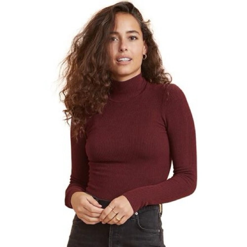 Marine Layer Chamonix Turtleneck